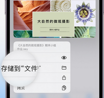 长乐apple维修中心分享iPhone文件应用中存储和找到下载文件