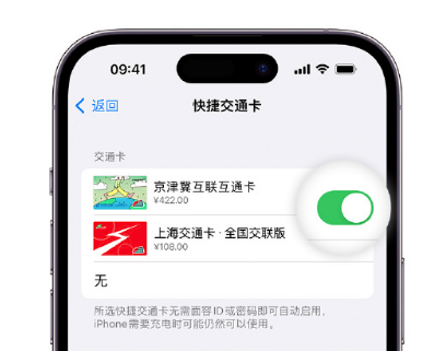 长乐apple维修点分享iPhone上更换Apple Pay快捷交通卡手绘卡面 