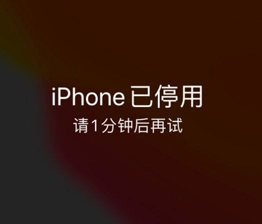 长乐苹果手机维修分享:iPhone 显示“不可用”或“已停用”怎么办？还能保留数据吗？ 