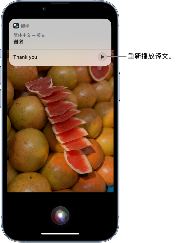 长乐苹果14维修分享 iPhone 14 机型中使用 Siri：了解 Siri 能帮你做什么 