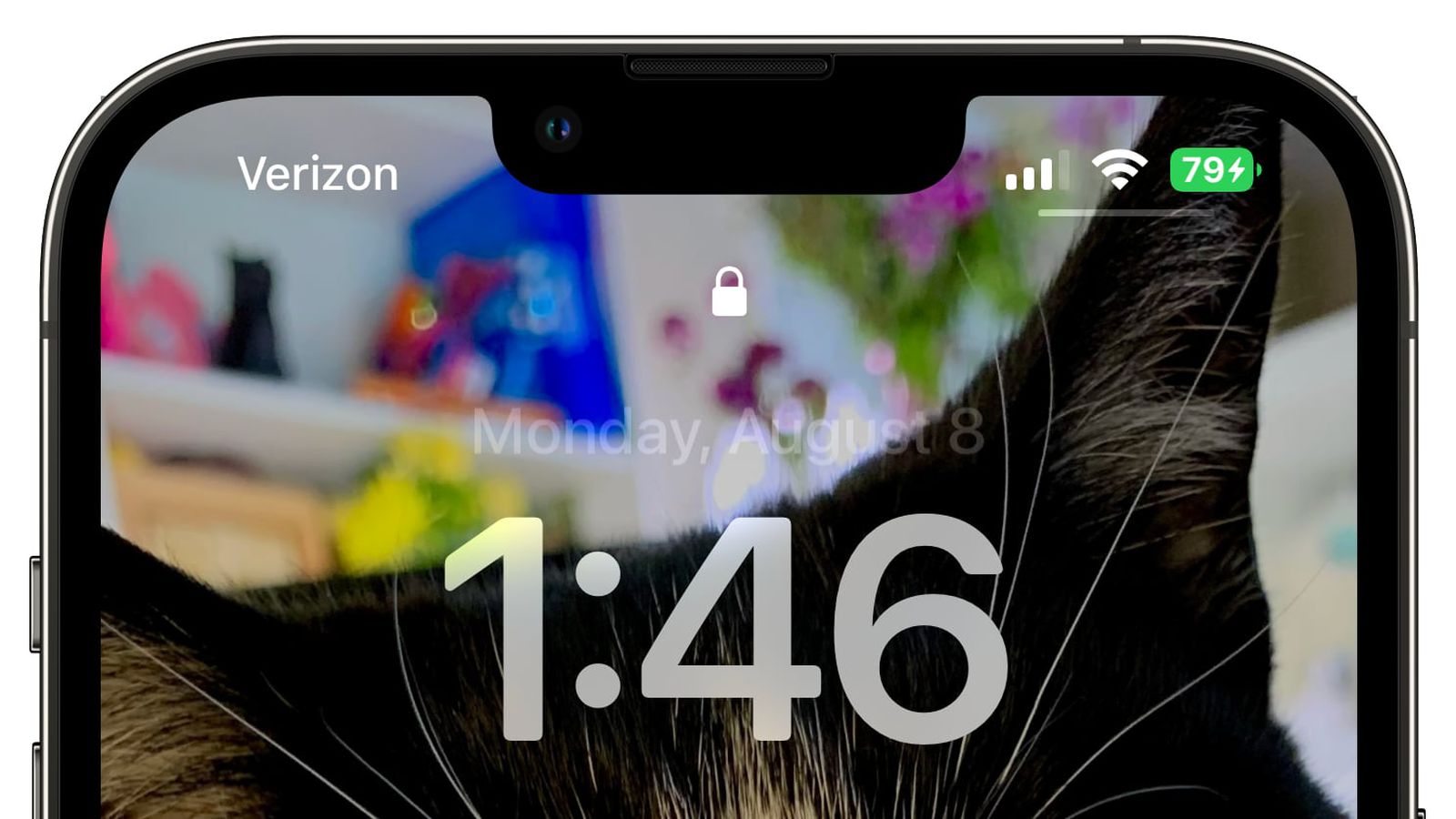 长乐苹果手机维修分享iOS 16 beta 5 支持状态栏显示电池百分比，如何开启？支持哪些机型 
