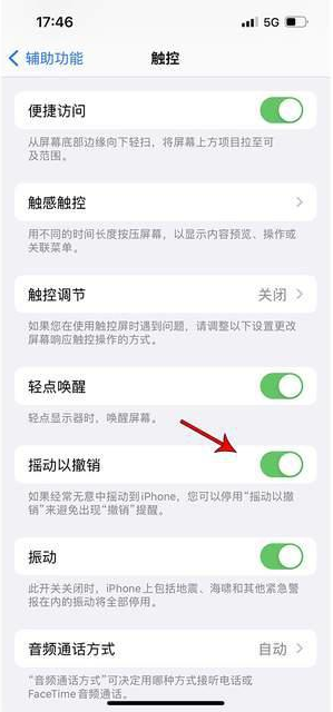 长乐苹果手机维修分享iPhone手机如何设置摇一摇删除文字 