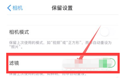长乐苹果13维修分享iPhone13拍照有绿点是怎么回事 