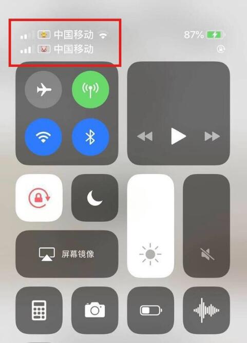 长乐苹果手机维修分享为 iPhone 12 双卡设置标签 